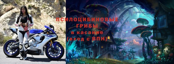 не бодяженный Заводоуковск